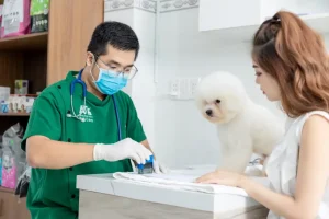 Điều trị nhiễm khuẩn chó mèo bằng kháng sinh đồ tại AT Pet Care Thủ Dầu Một
