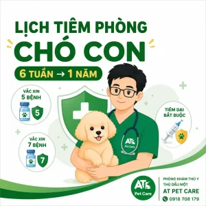 Lịch tiêm phòng chó con theo từng giai đoạn