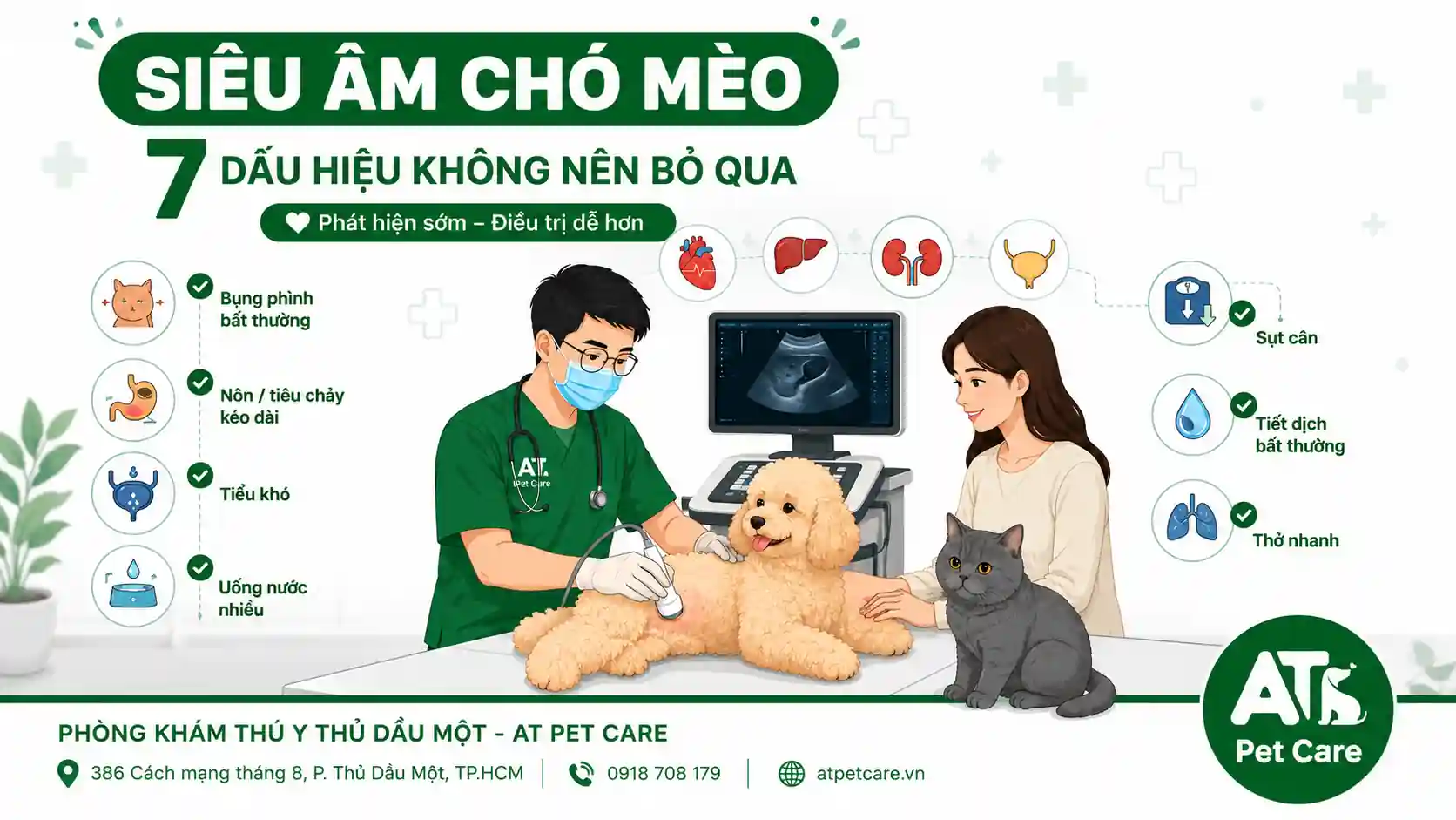 siêu âm chó mèo tại Phòng khám thú y Thủ Dầu Một AT Pet Care